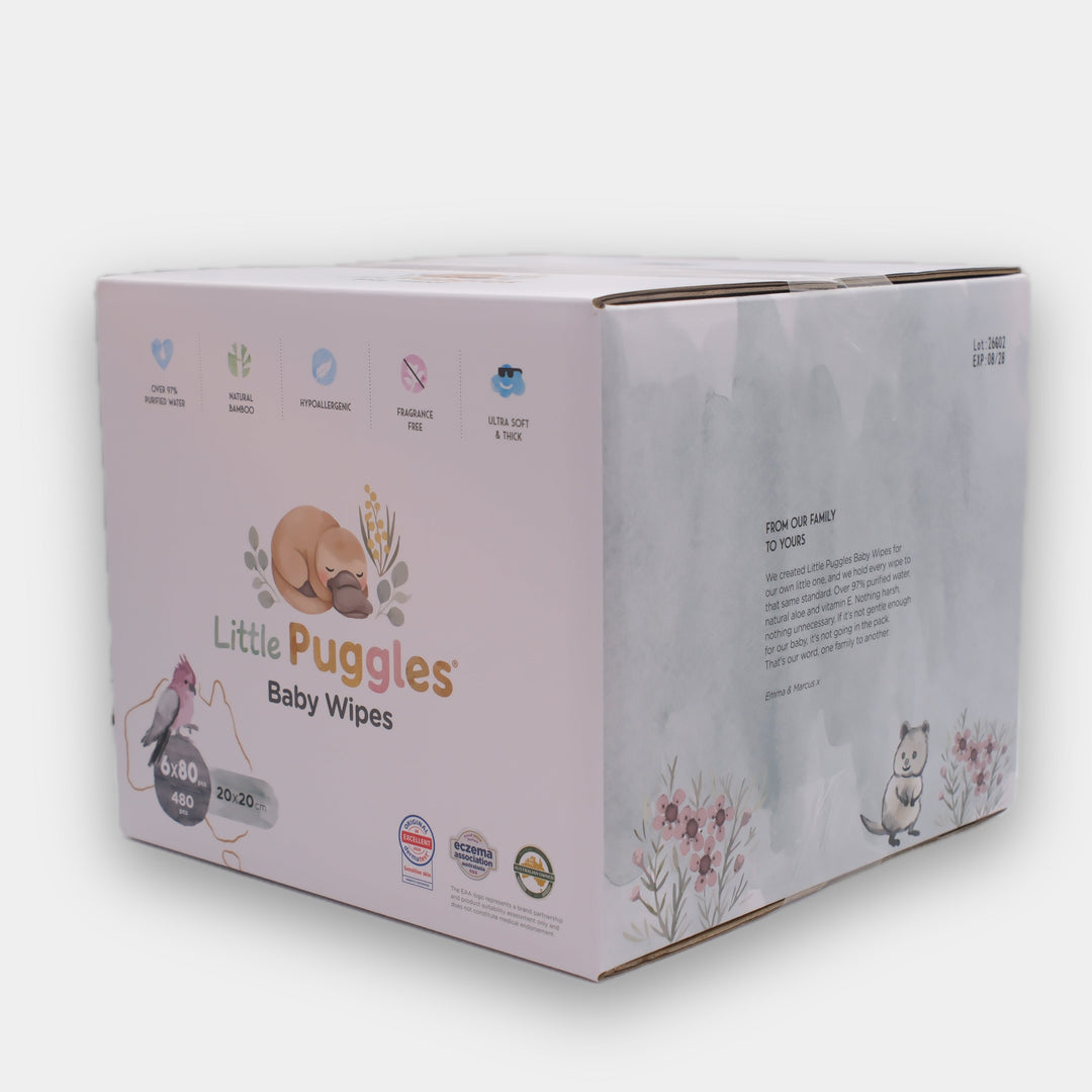 Little Puggles Baby Wipes 6-pack carton shown at an angle