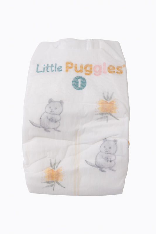 A single Little Puggles Size 1 nappy, front, showing the quokka and yellow bottlebrush print
