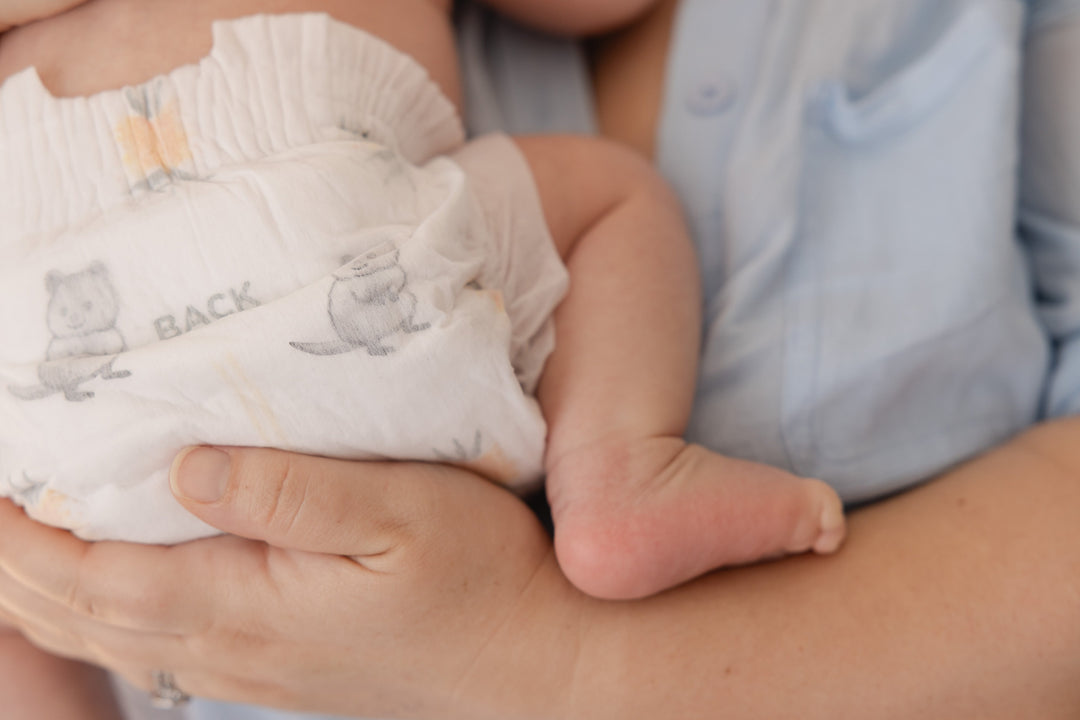 Close-up of a Little Puggles Size 1 nappy on a newborn held in a parent's arms, showing the quokka and yellow bottlebrush print