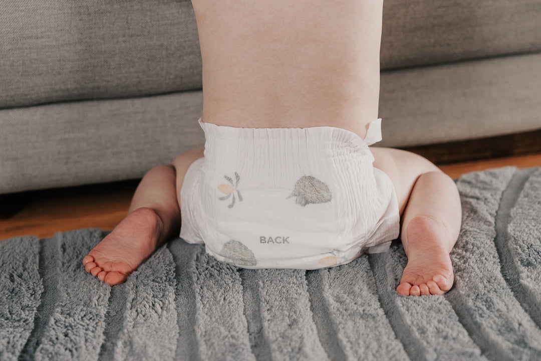 Baby standing at a couch in a Little Puggles Size 3 nappy, seen from behind, showing the echidna and banksia print