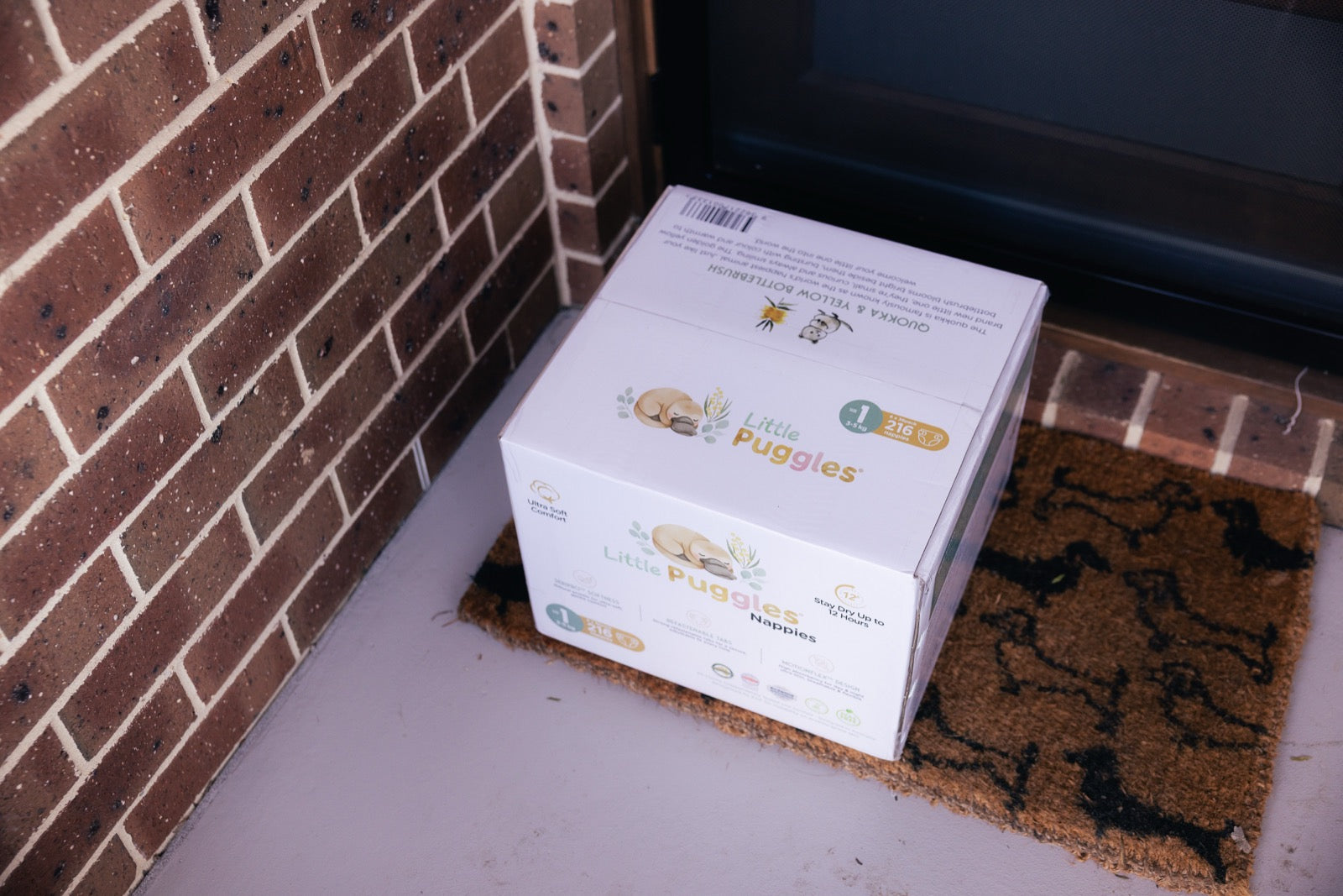 A Little Puggles nappy carton sitting on a coir doormat in a brick doorway, delivered and not yet opened.
